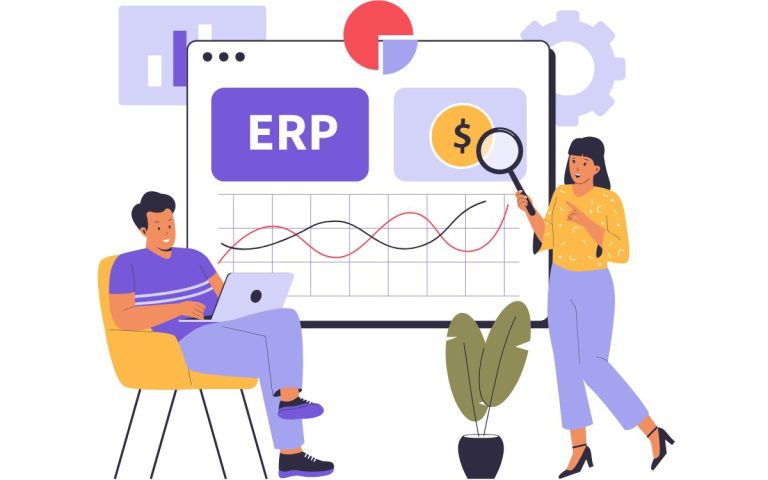 Programari erp pimes explicat