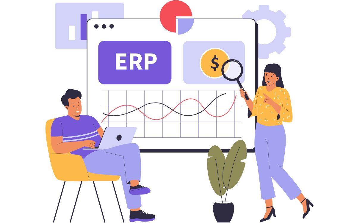 Software erp pymes explicado